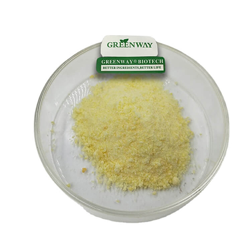 Natural Mango Fruit Extract Dried Powder